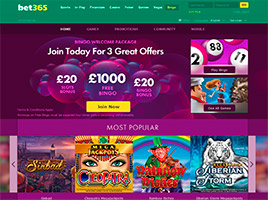 Bet365 Bingo