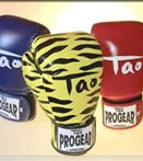Tao sport boxing gloves
