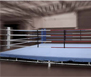 Boxing Ring